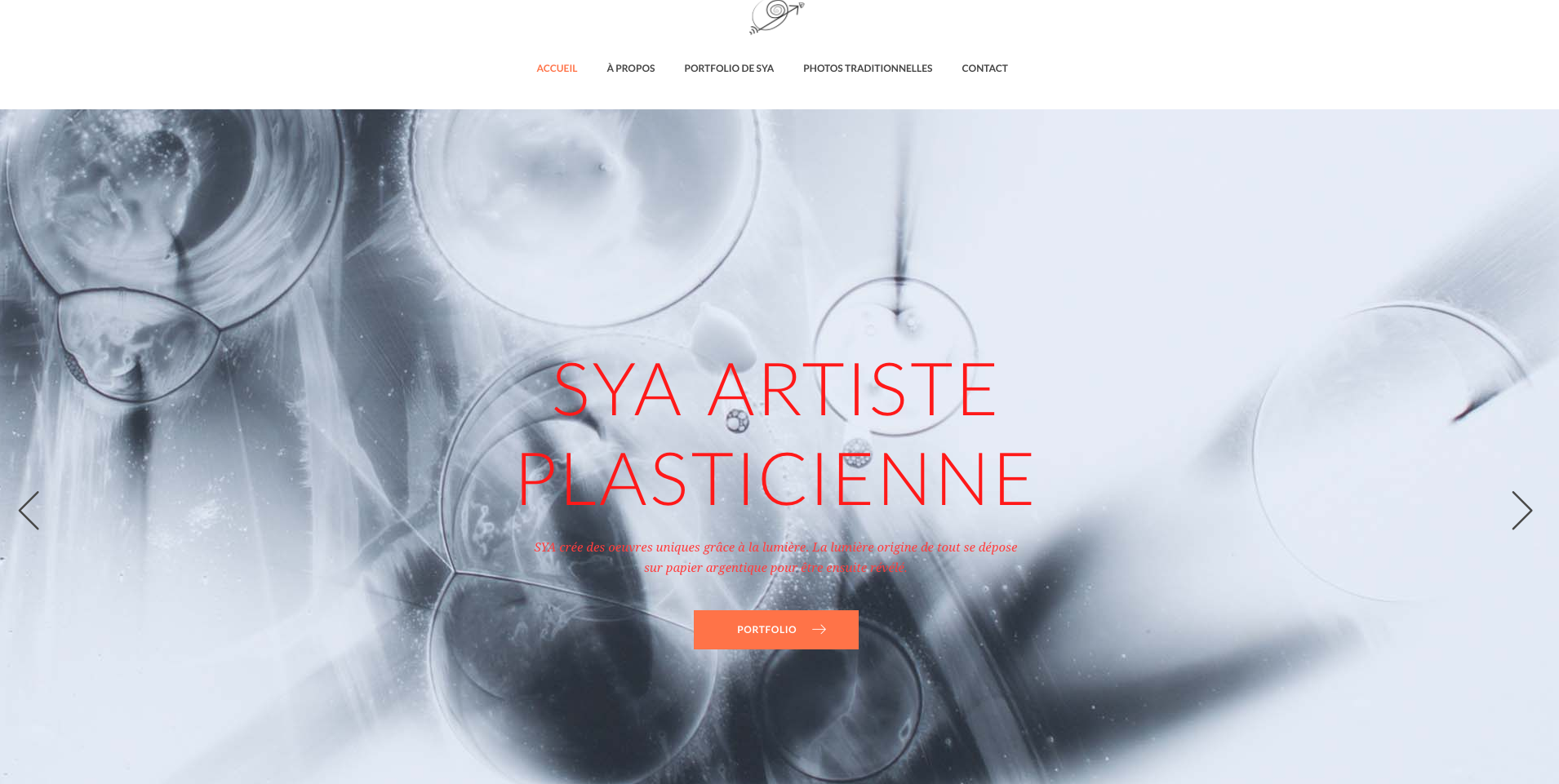 site-web-sya-artiste